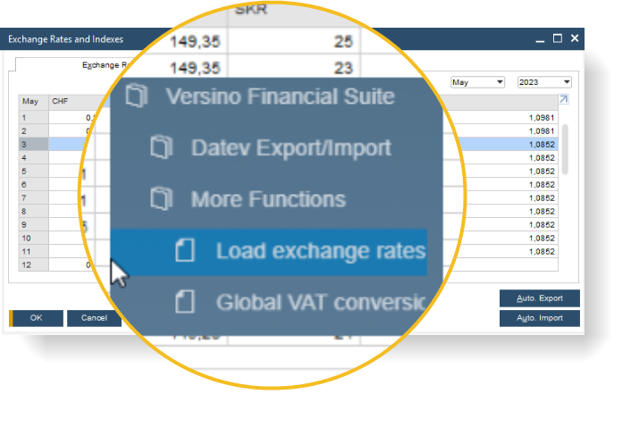 Exchange Rate Import SAP Business One